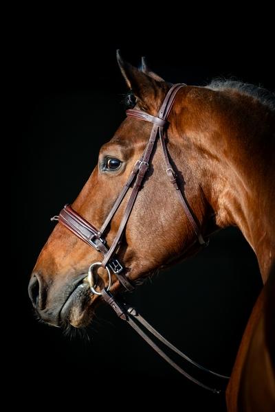 sil-vous-plait-van-het-schaeck-2