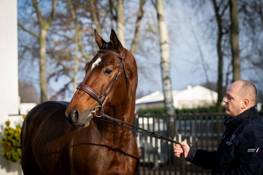 sil-vous-plait-van-het-schaeck-5