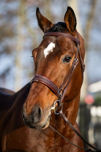 sil-vous-plait-van-het-schaeck-4