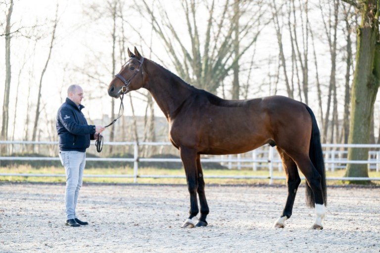 s-il-vous-plait-van-het-schaeck
